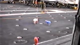 The Time When The USS <i>America</i> Dropped Live Pigs On The USS <i>Kennedy</i>'s Deck